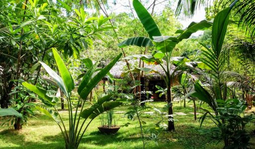 el nido hotels palawan philippines resorts luxe luxury jardin garden